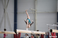 Соревнования по спортивной гимнастике на призы Заслуженных мастеров спорта , Фото: 48