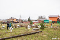 Детская площадка в Старо-Басово, Фото: 1