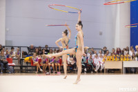 Соревнования по художественной гимнастике на призы благотворительного фонда «Земляки», Фото: 101
