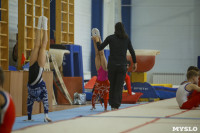 Спортивная гимнастика в Туле 3.12, Фото: 39