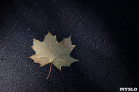 Золотая осень по-тульски, Фото: 49