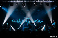 В Туле выступила группа Animal ДжаZ, Фото: 35
