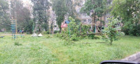 Поваленные деревья на ул. Пузакова, Фото: 22