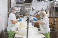 На Узловском молочном комбинате оптимизировали производство творога , Фото: 2