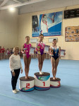 Тульские гимнастки завоевали медали на соревнованиях в Новомосковске, Фото: 1