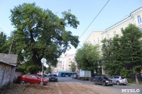 Туляки просят спасти старинный дуб на улице Энгельса, Фото: 4