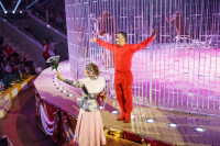 Премьера в Тульском цирке: шоу фонтанов «13 месяцев» удивит вас!, Фото: 41