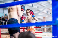 Чемпион мира по боксу Александр Поветкин посетил соревнования в Первомайском, Фото: 1