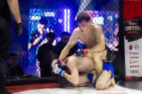 Битва за Тулу-2026, Фото: 75