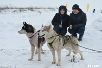 Праздник северных собак на Куликовом поле , Фото: 34