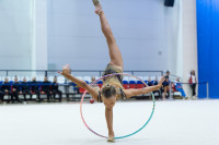 Художественная гимнастика, Фото: 64