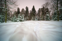 Вечерний снегопад, Фото: 20