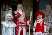 В Туле открылась резиденция Деда Мороза, Фото: 17