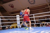 Финал турнира по боксу "Гран-при Тулы", Фото: 129