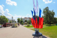 Тулу украсили флагами ко Дню России, Фото: 5