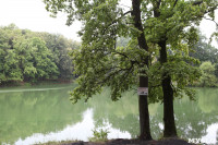Загрязнение прудв в Платоновском парке, Фото: 1