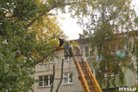 Кронирование тополей на ул. Калинина, Фото: 2