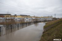 В Туле затопило Пролетарскую набережную, Фото: 34