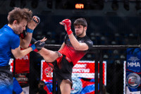 В «Тула-Арене» состоялись областные соревнования по ММА, Фото: 99