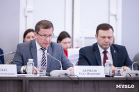 В Тульской области комплексно обновят парки в Белеве, Суворове и Ясногорске, Фото: 17