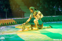 Программа Тропик-шоу в Тульском цирке, Фото: 13