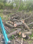 В Черни во время уборки на кладбище могилы завалили спиленными деревьями, Фото: 3