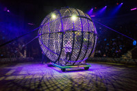 "Чудеса под Новый год" в Тульском цирке, Фото: 89