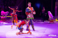 Цирковое шоу Жар птица, Фото: 133