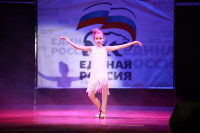 Мисс Тульская область - 2014, Фото: 340