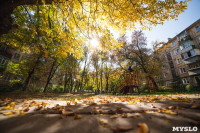 Золотая осень в Тульской области, Фото: 75