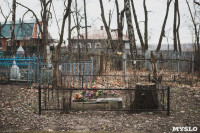 Кладбища Алексина зарастают мусором и деревьями, Фото: 45
