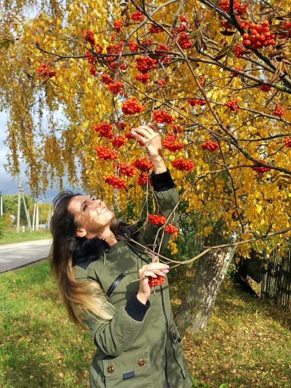 ...Нежно гладит куст рябины - осень влажною рукой: Ягод красные рубины и багряных листьев рой...