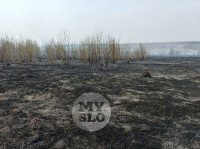 В Туле загорелось поле, Фото: 10