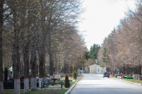 Полицейский рейд на кладбищах, Фото: 13