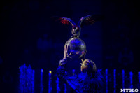 Шоу фонтанов «13 месяцев» в Тульском цирке – подарите себе и близким путевку в сказку!, Фото: 26