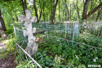 Всехсвятское кладбище. Июль 2016, Фото: 21