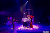 Шоу фонтанов «13 месяцев» в Тульском цирке – подарите себе и близким путевку в сказку!, Фото: 104