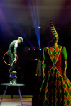 Успейте посмотреть шоу «Новогодние приключения домовенка Кузи» в Тульском цирке, Фото: 52