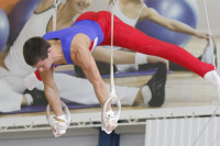 Первый этап Всероссийских соревнований по спортивной гимнастике среди юношей - «Надежды России»., Фото: 7