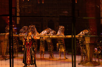 Новое грандиозное шоу Гии Эрадзе «Королевский цирк» стартует в Тульском цирке, Фото: 14