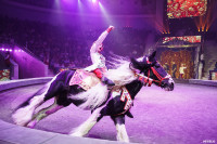 Шоу Гии Эрадзе «5 континентов» в Тульском цирке: феерия уже началась!, Фото: 110