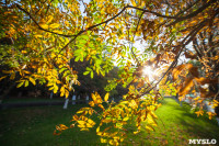 Золотая осень в Тульской области, Фото: 55