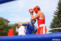 Матчевая встреча по боксу между спортсменами Тулы и Керчи. 13 сентября 2014, Фото: 2