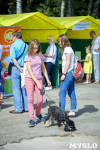 В Центральном парке Тулы проходит фестиваль помощи животным, Фото: 29