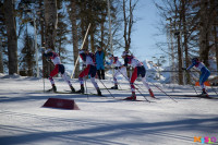 Состязания лыжников в Сочи., Фото: 41