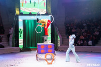 Искусство иллюзии и вера в чудо: в Тульском цирке стартовала программа «Загадка старой игрушки», Фото: 32