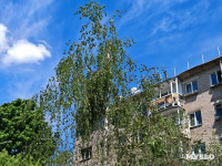 Поврежденные БПЛА дома в Туле, Фото: 2
