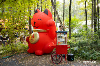 Фестиваль "Это по любви", Фото: 10