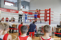 Чемпионат ЦФО по боксу, Фото: 29