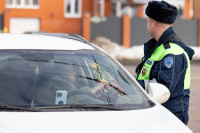 «Цветочный патруль — 2026», Фото: 90